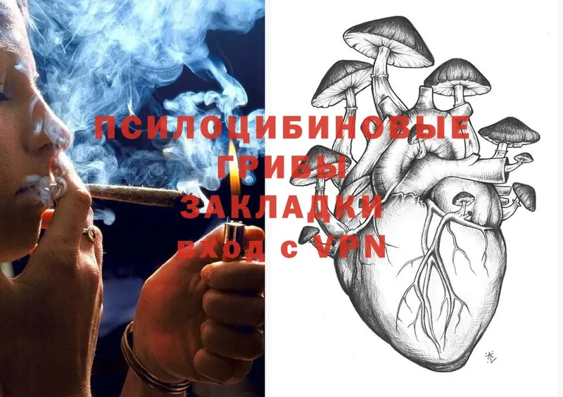 Псилоцибиновые грибы Magic Shrooms  что такое наркотик  Копейск 